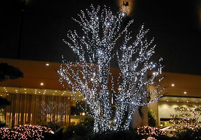 ANAクラウンプラザホテル広島　Hiroshima 10.2009-04